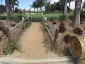 practice putt